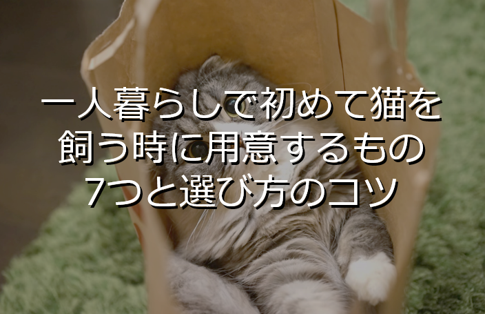 一人暮らしで初めて猫を飼う時に用意するもの7つと選び方のコツ